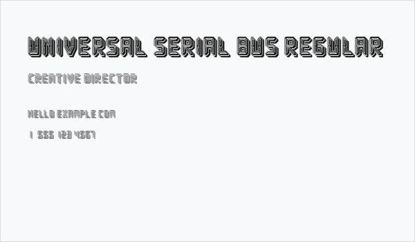 Universal Serial Bus Regular Business Card