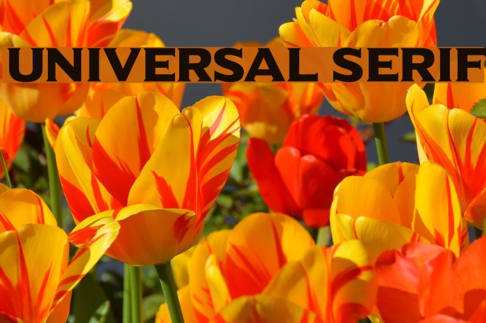 Universal Serif Font examples