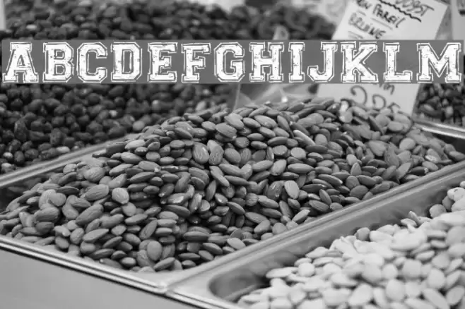 Universal-college_DEMO-version Font examples