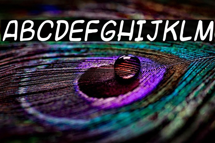 Universal fruitcake Example 2