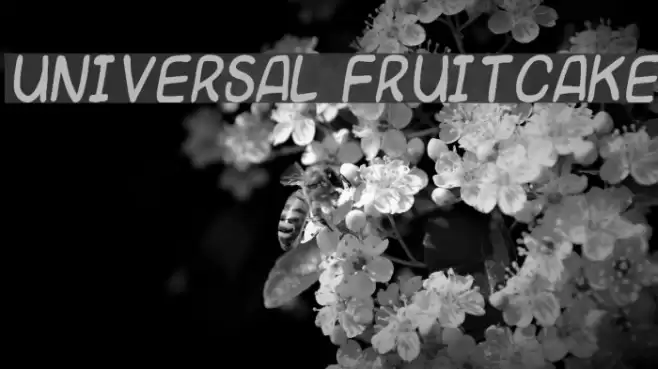 Universal fruitcake Font examples
