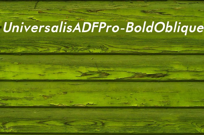 UniversalisADFPro-BoldOblique Font examples