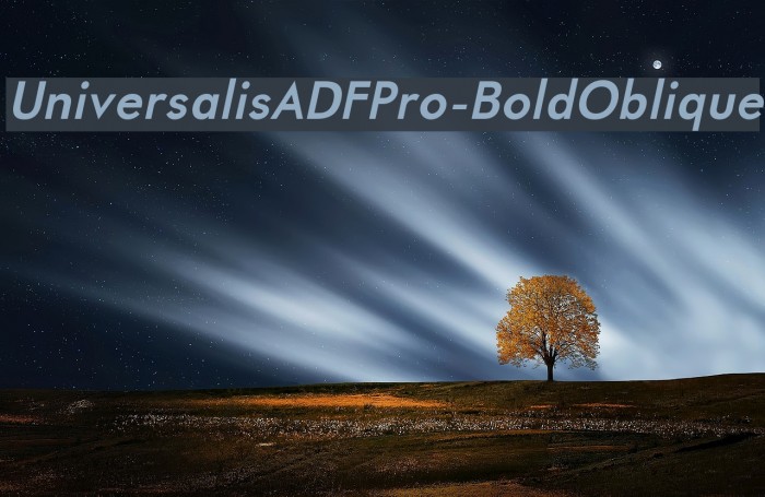 UniversalisADFPro-BoldOblique Font examples