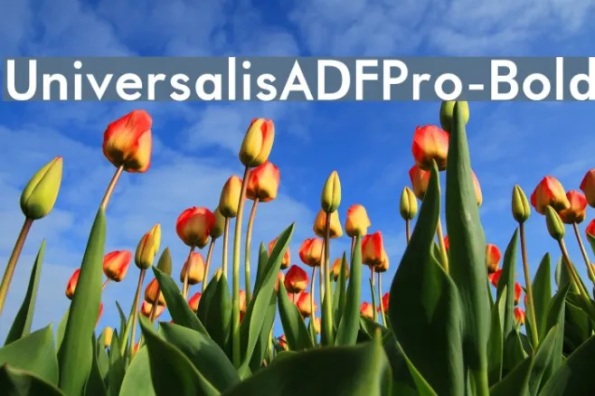 UniversalisADFPro-Bold Example 2