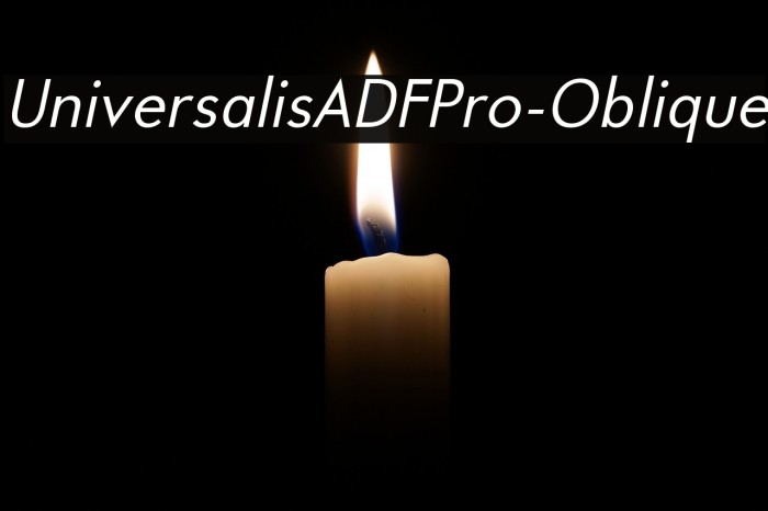 UniversalisADFPro-Oblique Font examples