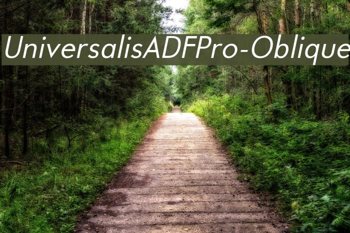 UniversalisADFPro-Oblique Font examples