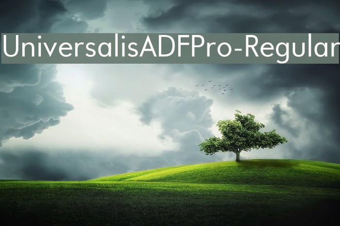 UniversalisADFPro-Regular Font examples