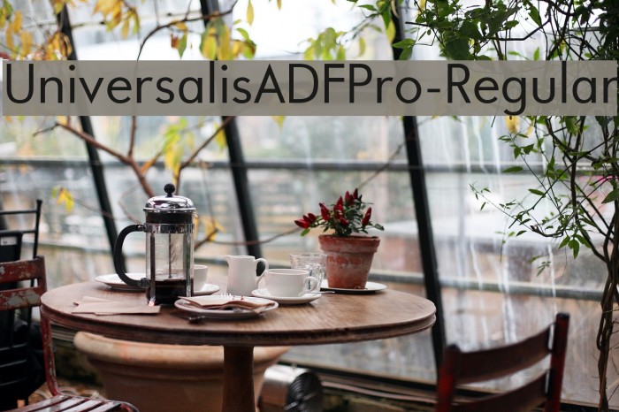 UniversalisADFPro-Regular Font examples
