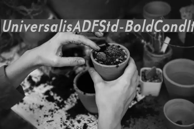 UniversalisADFStd-BoldCondIt Font examples