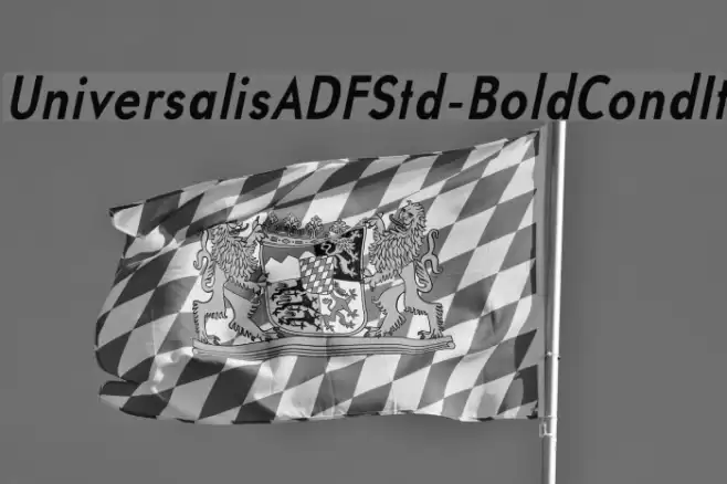 UniversalisADFStd-BoldCondIt Font examples