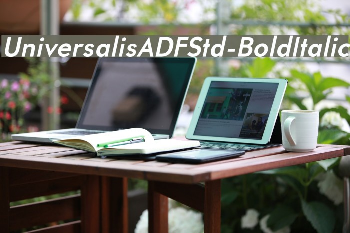 UniversalisADFStd-BoldItalic Font examples