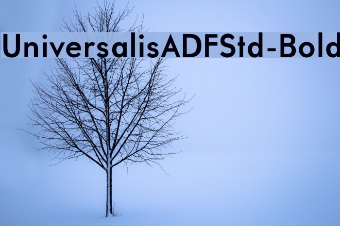 UniversalisADFStd-Bold Font examples