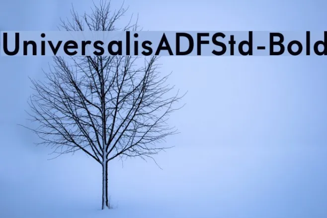 UniversalisADFStd-Bold Example 3