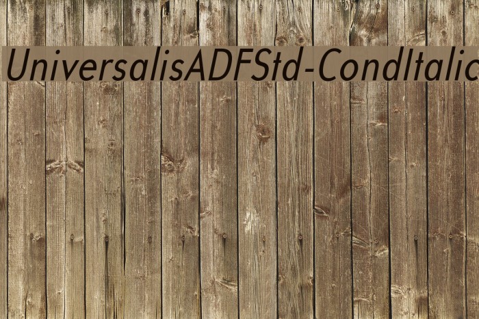 UniversalisADFStd-CondItalic Font examples