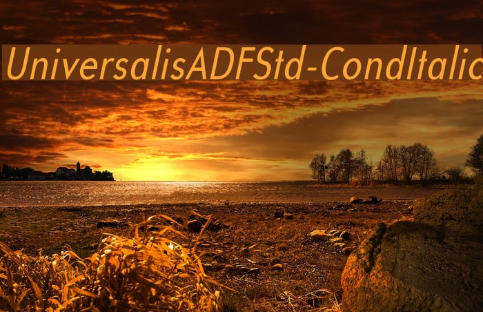 UniversalisADFStd-CondItalic Font examples