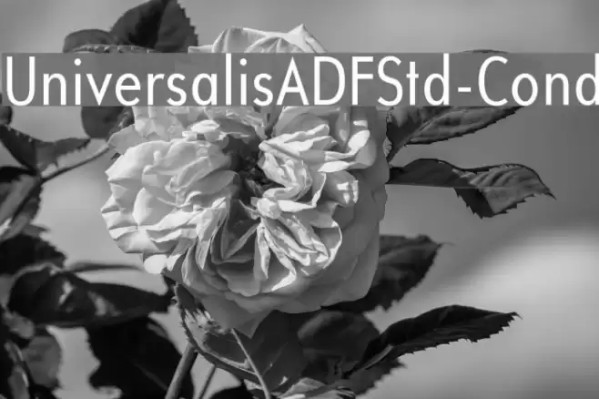 UniversalisADFStd-Cond Font examples