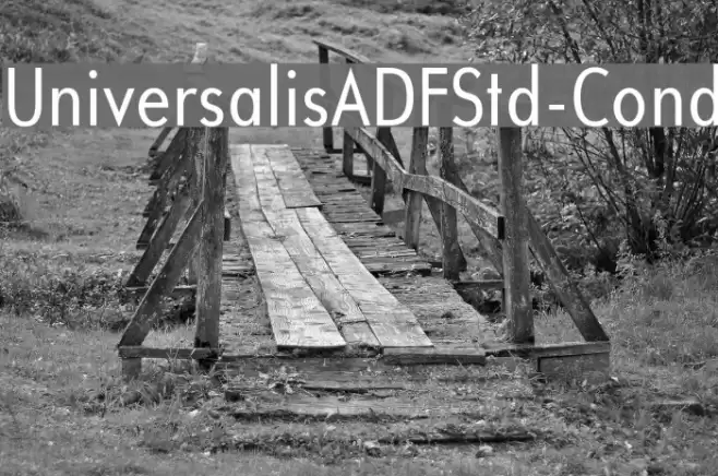 UniversalisADFStd-Cond Font examples