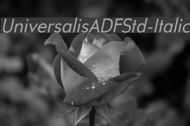 UniversalisADFStd-Italic Font examples