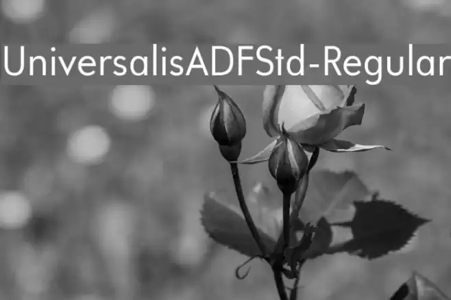 UniversalisADFStd-Regular Font examples