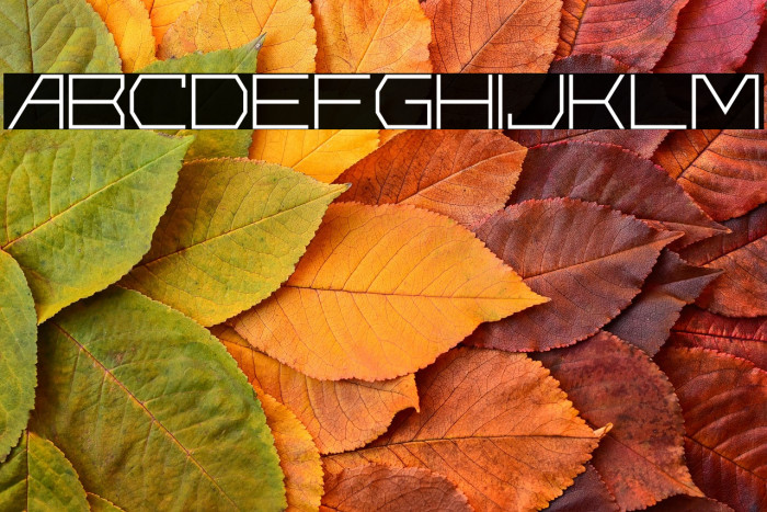 Universe Personal Use Example 2