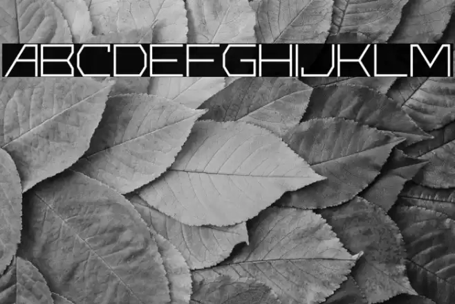 Universe Personal Use Font examples