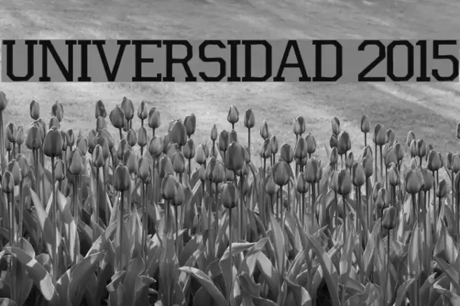 Universidad 2015 Font examples