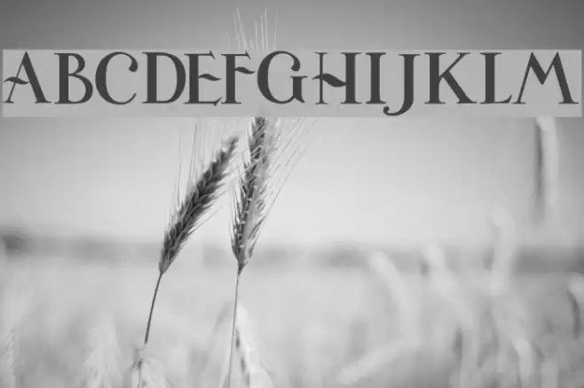 Universitas Studii Salamantini Font examples