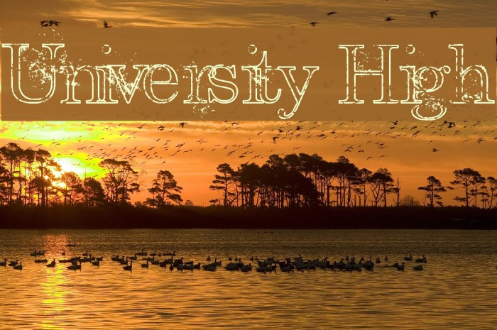 University High Font examples