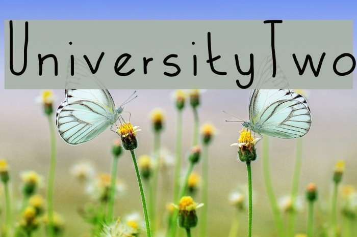 UniversityTwo Font examples