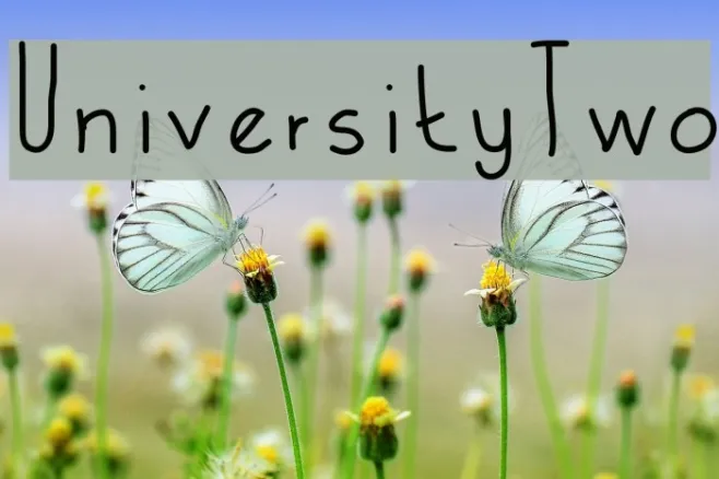 UniversityTwo Example 2