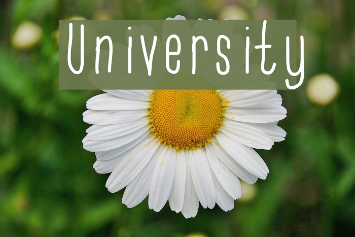 University Font examples