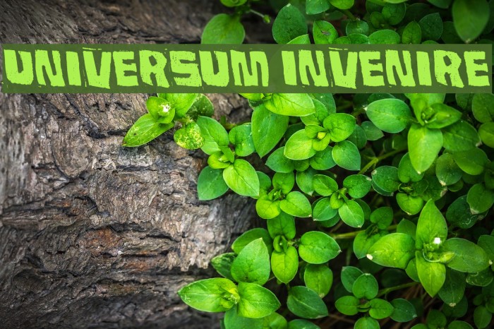 Universum Invenire Example 1