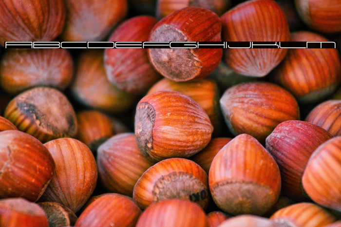 Univox-Regular Example 3