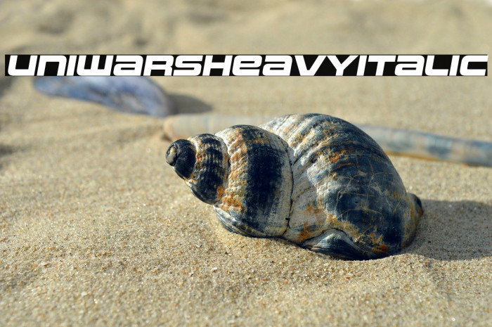 Uniwars Heavy Italic Example 1