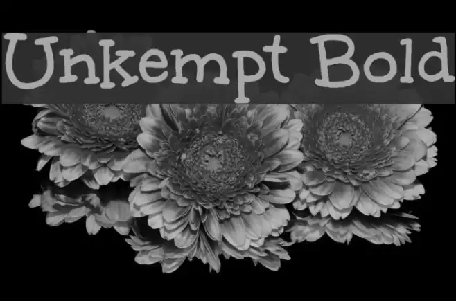 Unkempt Bold Schriftart examples