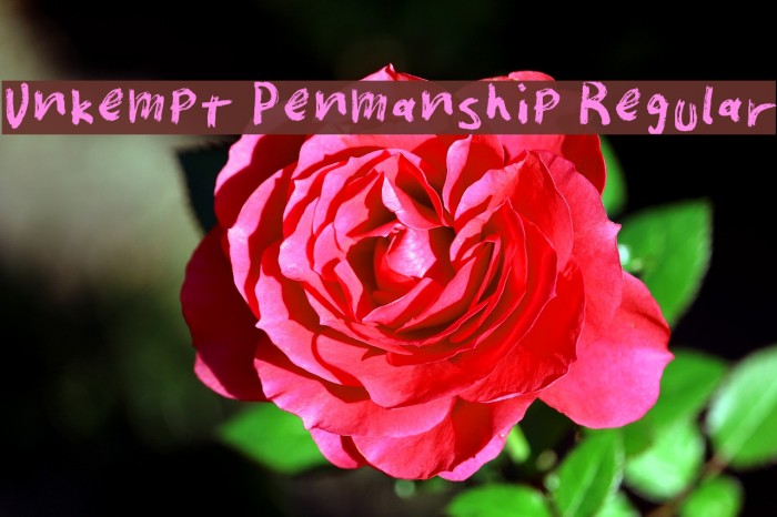 Unkempt Penmanship Regular Example 3