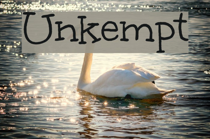 Unkempt Font examples
