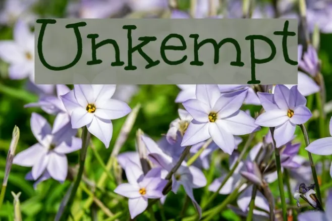 Unkempt Example 3
