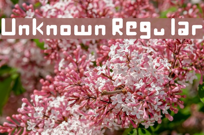 Unknown Regular Font examples