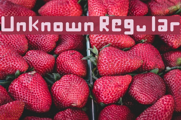 Unknown Regular Font examples