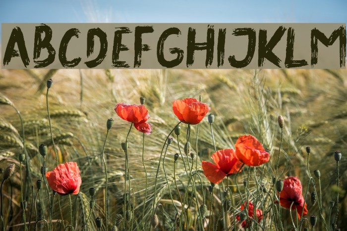 Unknown Secret Bold DEMO Bold Font examples