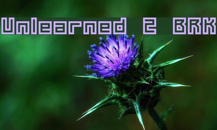 Unlearned 2 BRK Fuentes examples