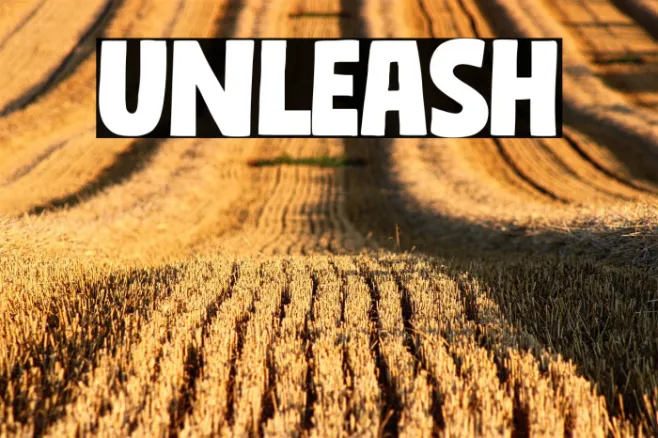Unleash Example 3