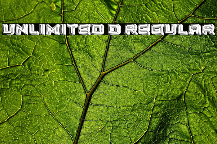 Unlimited 3D Regular Example 2