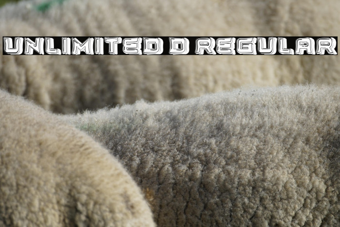 Unlimited 3D Regular Example 3