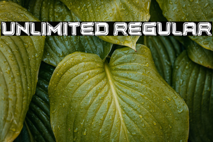 Unlimited Regular Example 1