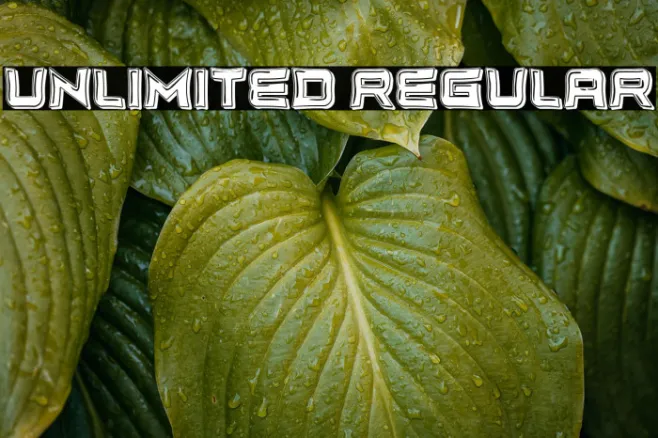 Unlimited Regular Example 1
