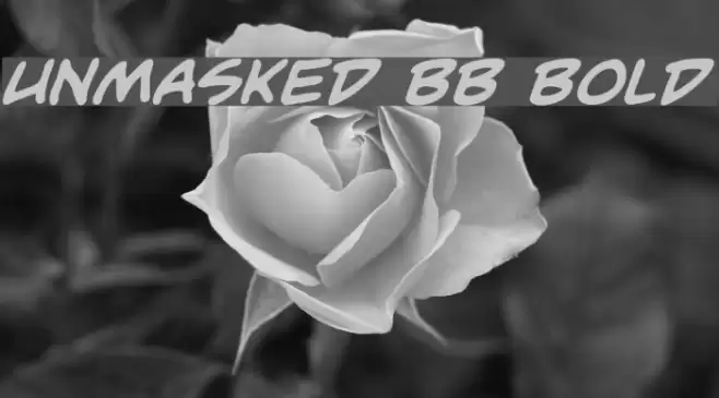 Unmasked BB Bold Font examples