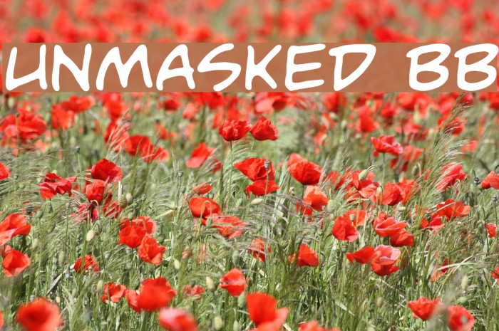 Unmasked BB Schriftart examples
