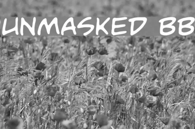 Unmasked BB Font examples